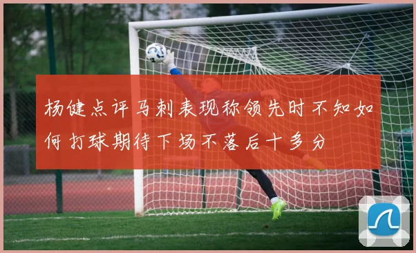 杨健点评马刺表现称领先时不知如何打球期待下场不落后十多分